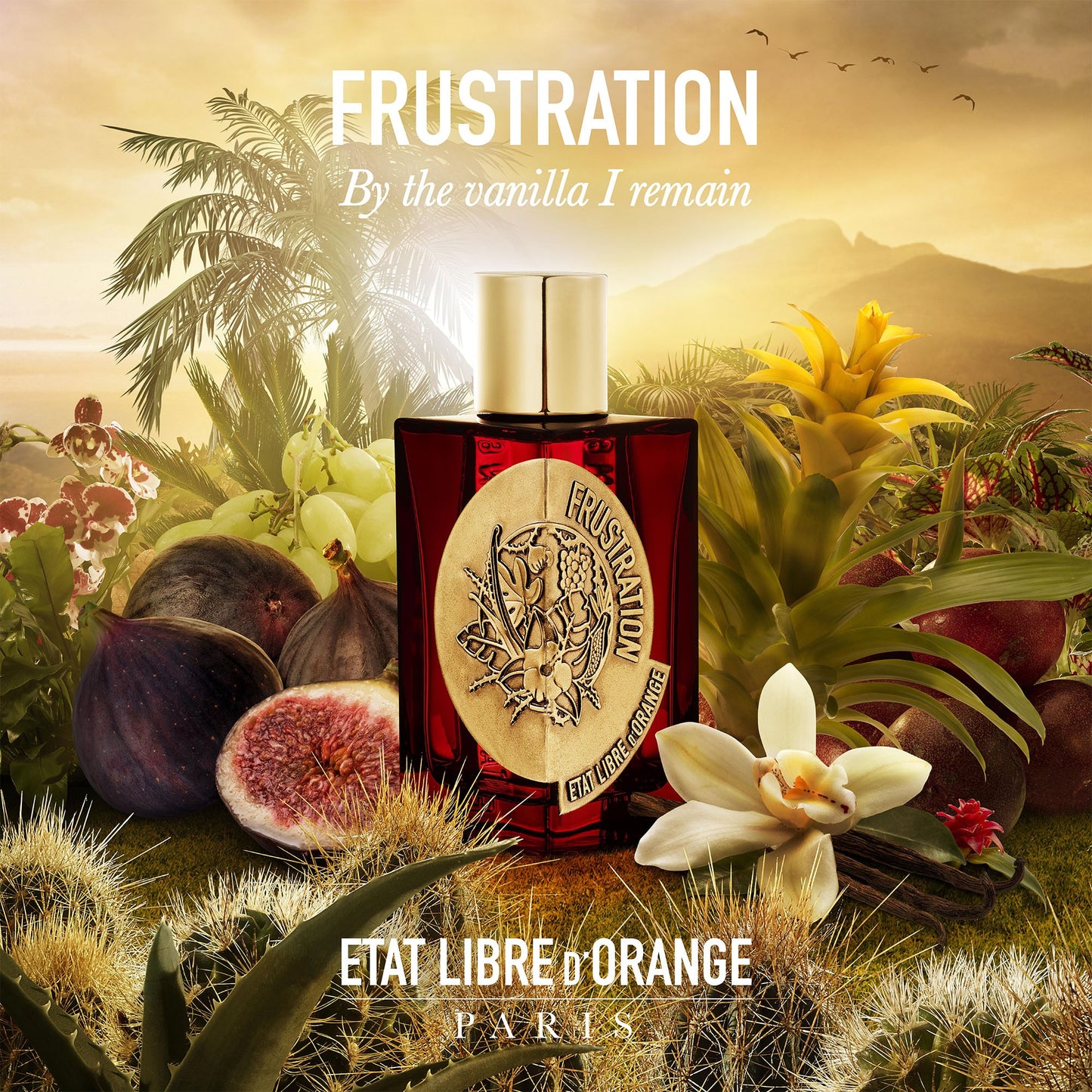 Frustration by Etat Libre d’Orange - EDP 100ml