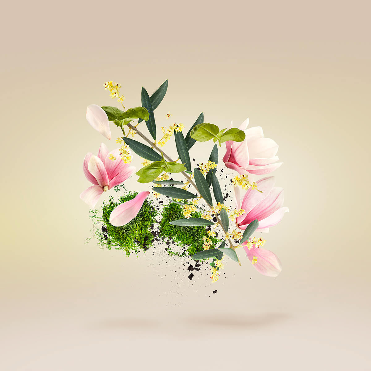 Fiore D’ulivo by Xerjoff 100ml Eau De Parfum