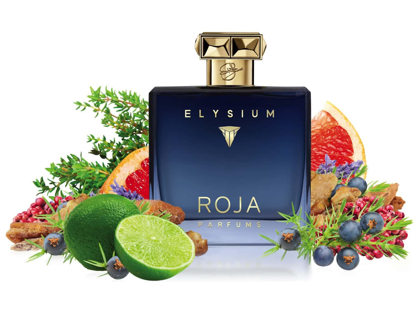 Elysium Parfum Cologne by Roja Dove 100ml - for men - Aura Fragrances