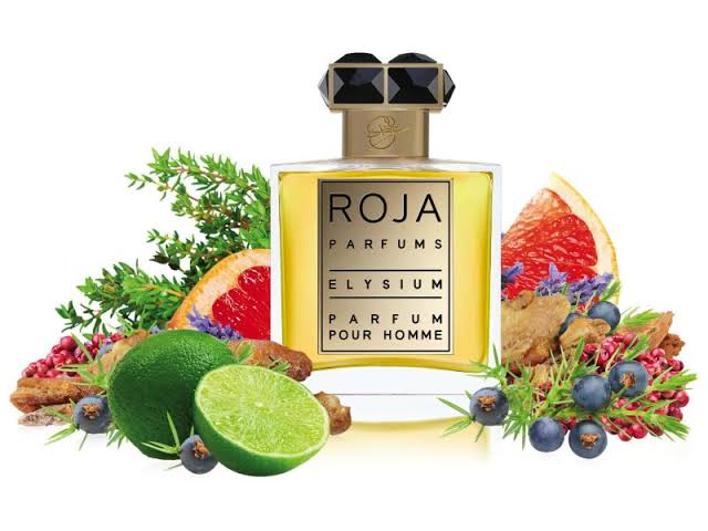 Elysium Parfum Pour Homme by Roja Dove 50ml - for men