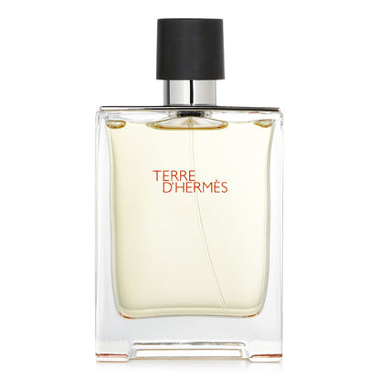 Terre D'Hermes by Hermes - Eau De Toilette Spray 100ml/3.4oz