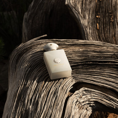 Decision by Amouage - EDP 100ml