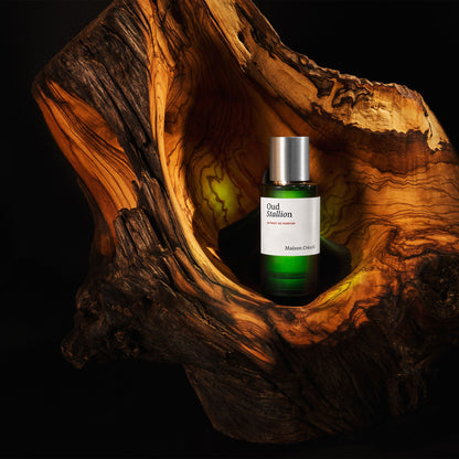 Oud Stallion by Maison Crivelli - EXDP 50ml