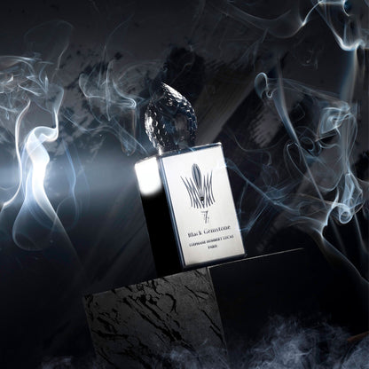 Black Gemstone by Stephane Humbert Lucas - EDP 50ml